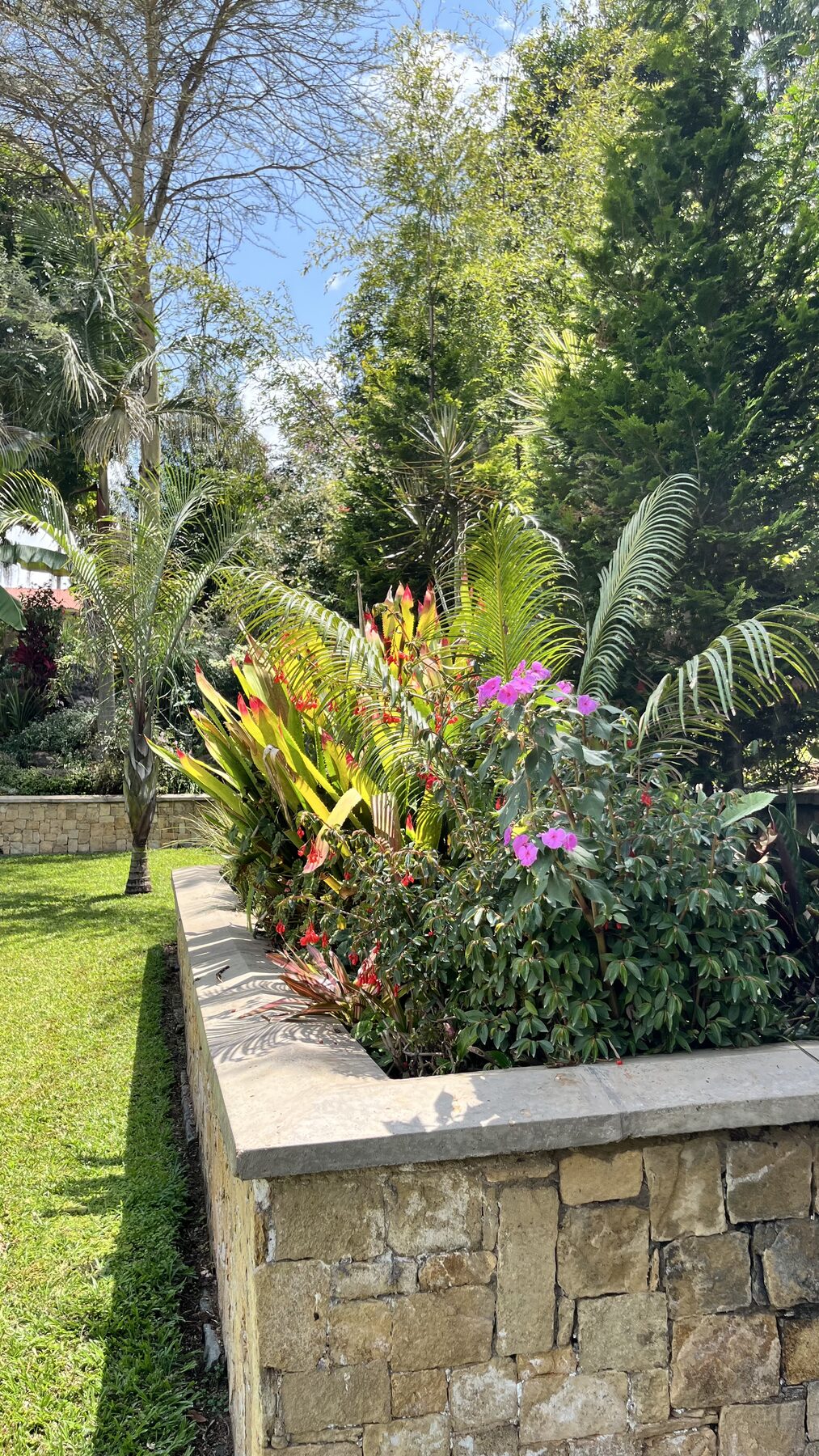 Colorful raised planting bed with flowering shrubs