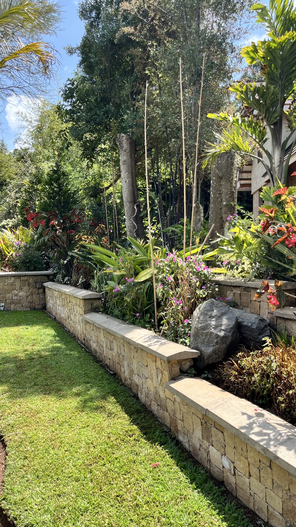 Stone edging with layered planting