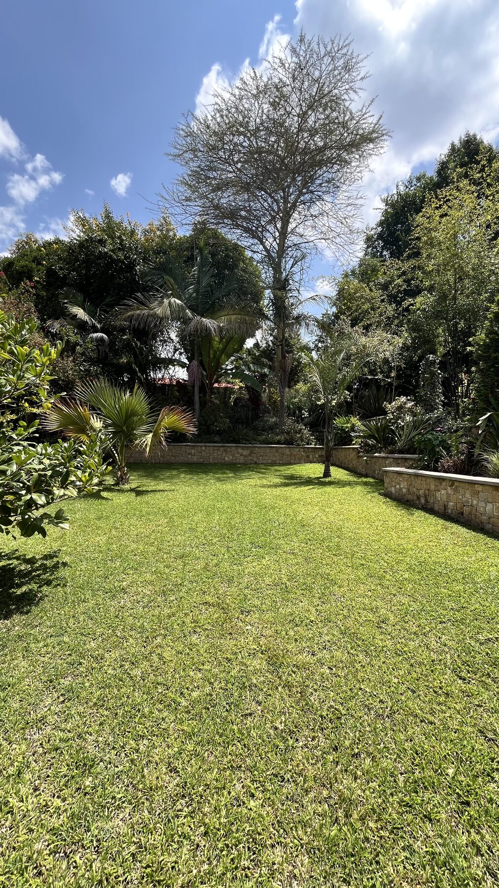Lawn and overall garden layout with stone retaining wall